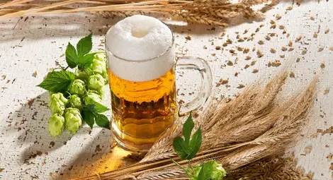 Кое е първо - хлябът или бирата?