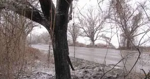 Четирима изгоряха като факли след зверски удар в орех