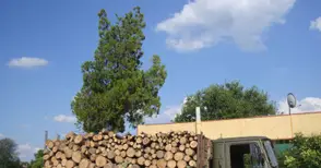 2000 души вече са поискали пари  за топлото през идващата зима