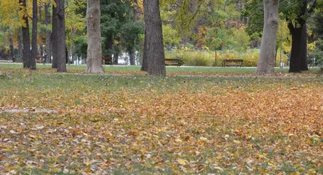 Комбинация от алкохол и похот ражда измислено изнасилване