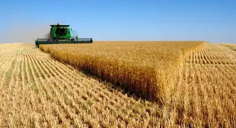 Цената на нивите набъбна с още 5% за година Цената на нивите набъбна с още 5% за година