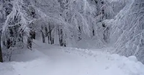 1300 метра ничия земя на пътя от Ценово за Свищов създава проблеми през зимата