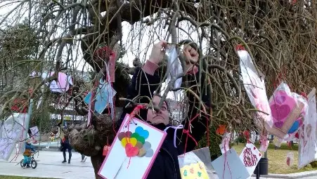 Дървото на влюбените разцъфва със 120 Валентинки