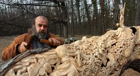 Да вдъхнеш нов живот на умиращо дърво