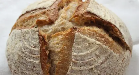 Пътуваща по света японска кулинарка изучава тайните на хляба в русенска пекарна