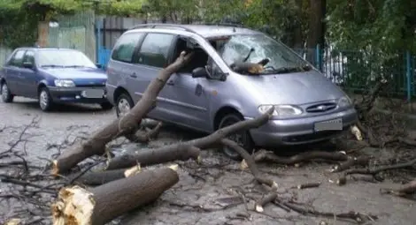 Ураган надвисва над Варна - паднаха над 40 дървена Ураган надвисва над Варна - паднаха над 40 дървена