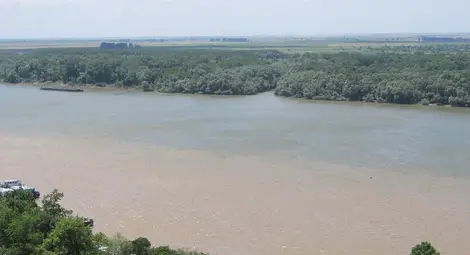 Дунав потече в кафяво Дунав потече в кафяво