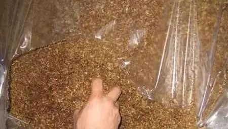 Рекордните 30 тона нелегален тютюн открити в Плевен