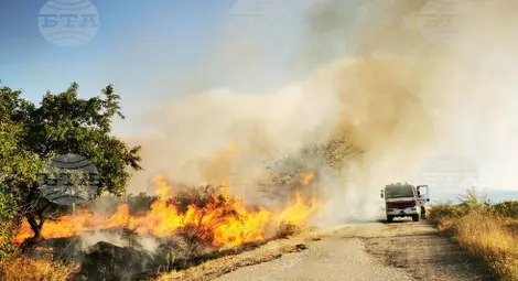 Снимка: БТА