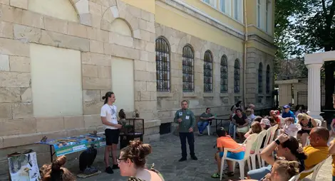 Близо 100 000 посетители в обектите на русенския музей през 2024  година &ndash; с над 5000 повече от 2023-а