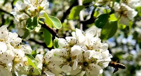 Температурите стигат 30&deg; днес, гръмотевични бури през уикенда