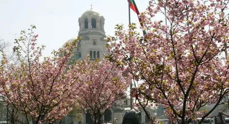 Слънце и температури до 19 градуса днес