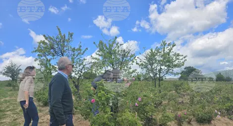 Снимка: БТА