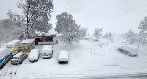 Снимка: БТА