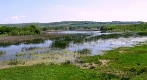  Жена от Ситово иска да се пали заради удавени от прелелия Дунав ниви