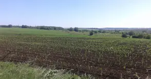 Декар нива докара условни присъди на четирима лъжци