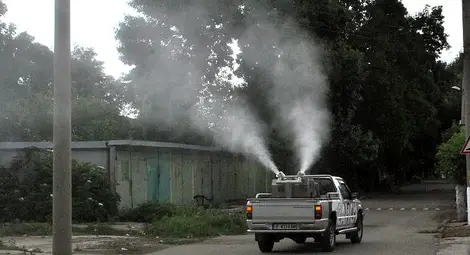 Първото пръскане срещу комари започва в петък