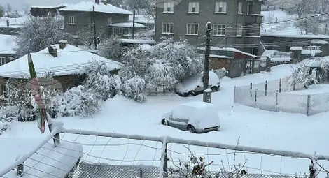 Снимка: БТА