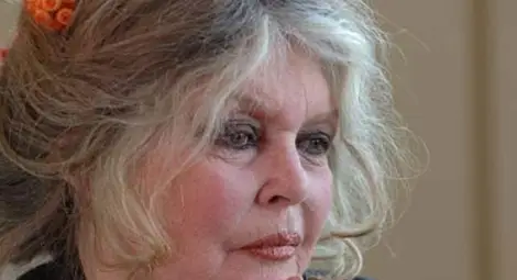 Брижит Бардо взе на мушка румънския президент заради изтребването на бездомните кучета