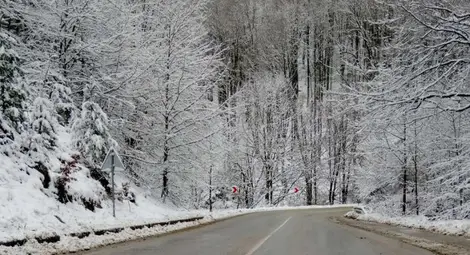 Жълт код за силен вятър и снеговалеж утре в Русе и областта
