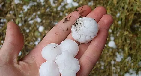 Щети за милиони от градушките в Добричко