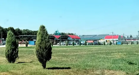 Гърмежи край ДЗС гонят гълъбите, но най-много тревожат хората