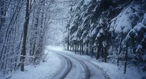 НИМХ: Оранжев и жълт код за силен вятър, снеговалежи и поледици е обявен за утре в по-голямата част от страната