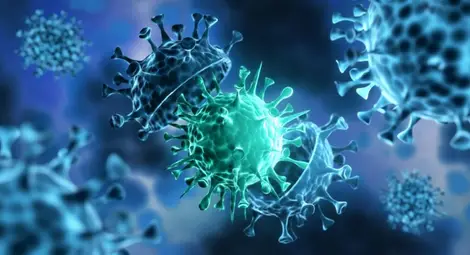 Повишената смъртност от други болести е два до три пъти повече от тази заради COVID-19