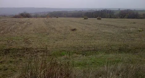 Данък върху пустеещите земи поискаха две от най-големите браншови организации в земеделието