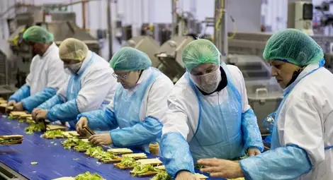 Как се правят сандвичите от магазина