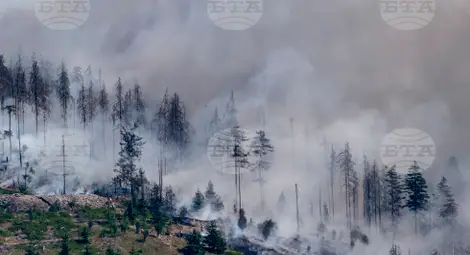 Снимка: БТА