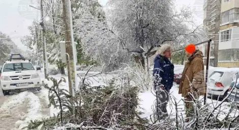 Снимка: БТА Снимка: БТА