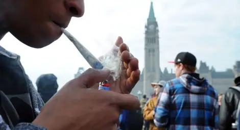 Канада легализира марихуаната от догодина