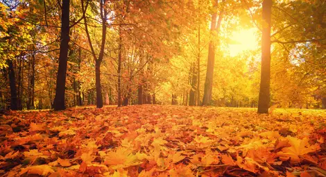 В петък ни очаква тихо време с условия за атмосферно замърсяване