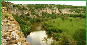 Момче подарява красиво полско цвете на любимата и дори не подозира, че нарушава закона