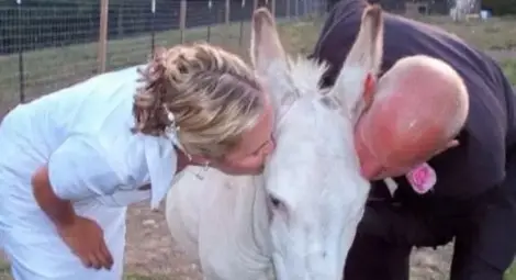 Най-ужасните сватбени снимки, които сте виждали /галерия/