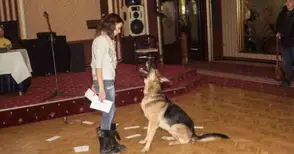 Четящо куче изуми журито на русенските таланти