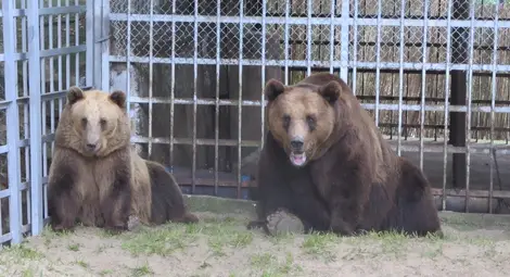 Местят Бойка и Станди в парка в Белица