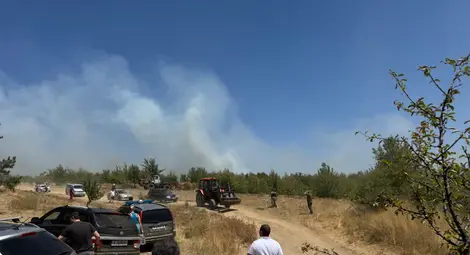 Критичната ситуация с пожара в Николово е овладяна, продължава гасенето в отделни участъци