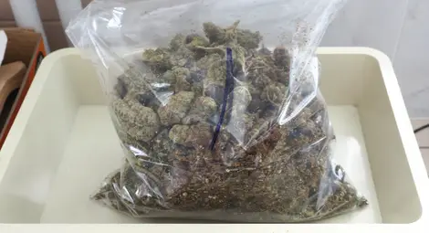 Трима задържани с голямо количество наркотици в Русе Трима задържани с голямо количество наркотици в Русе