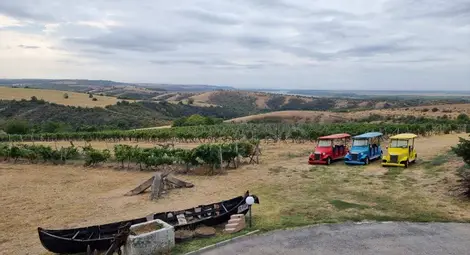 „Седем поколения“ - русенското вино, което покори Виена „Седем поколения“ - русенското вино, което покори Виена