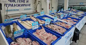 Шаранът си остава цар на трапезата на Никулден, цената му е от 8.99 да 12.40 лева за килограм