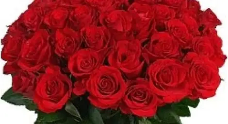 Как да останат розите ви свежи за по-дълго