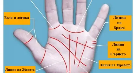 Истината на дланта ти: Научи се да четеш ЛИНИЯТА НА СЪРЦЕТО