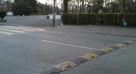 Съветник иска легнали полицаи на главната улица в Николово