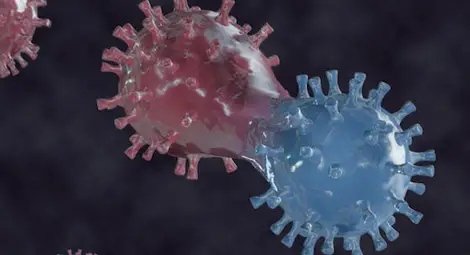 Европа в страх от новата „Ботсванска мутация“: Какво знаем за нея Европа в страх от новата „Ботсванска мутация“: Какво знаем за нея