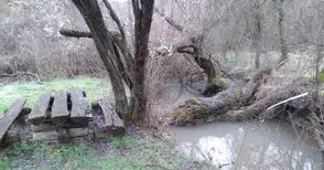 Русенският университет стартира „Зелена академия 2026“ – мащабен проект за екологична култура, спорт и устойчиво развитие в региона