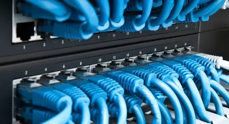 Явор Колев: Български сървъри се използват в ислямистки форуми