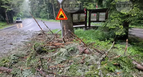 Снимка: БТА