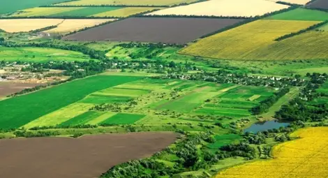 Пробват съмнителна схема за пренаемане на &bdquo;бели петна&ldquo;